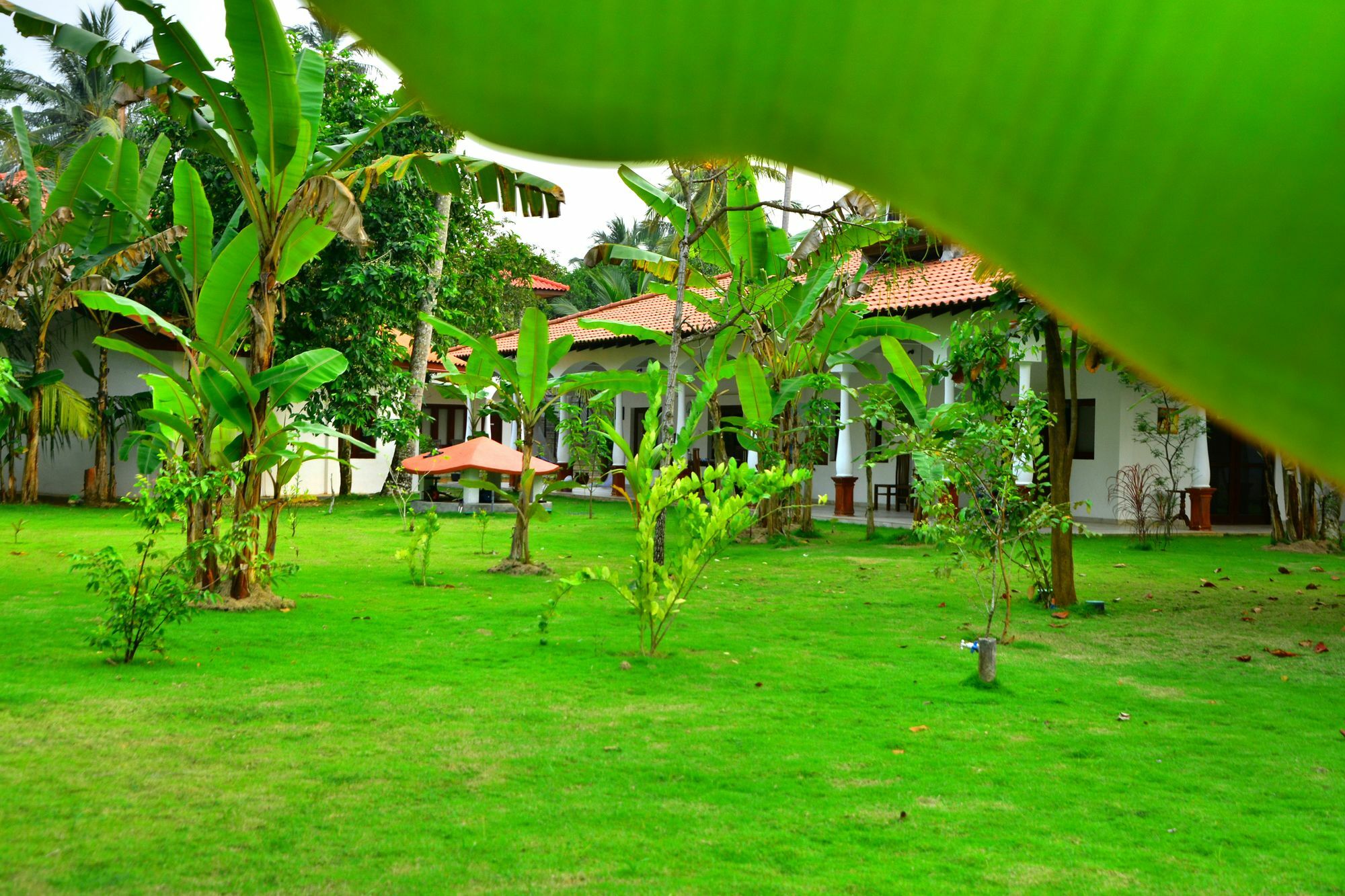 Lucas Hotel Kosgoda Exterior photo