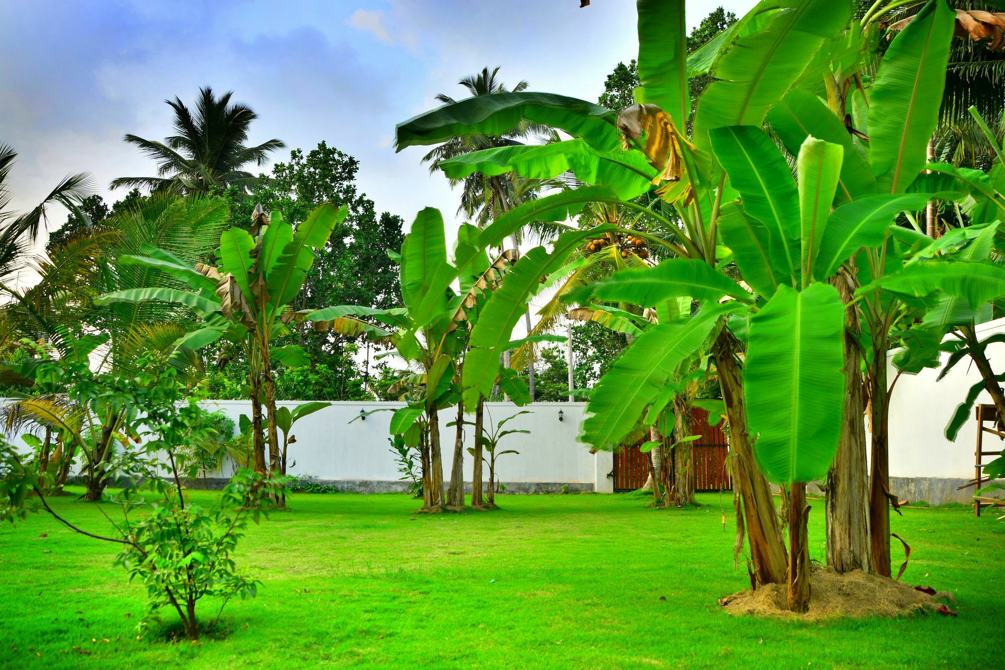 Lucas Hotel Kosgoda Exterior photo